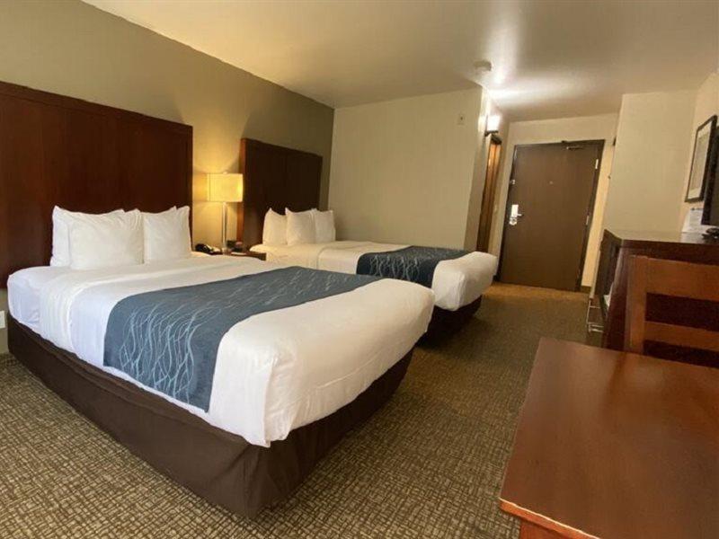 Comfort Inn Lacey - Olympia Extérieur photo