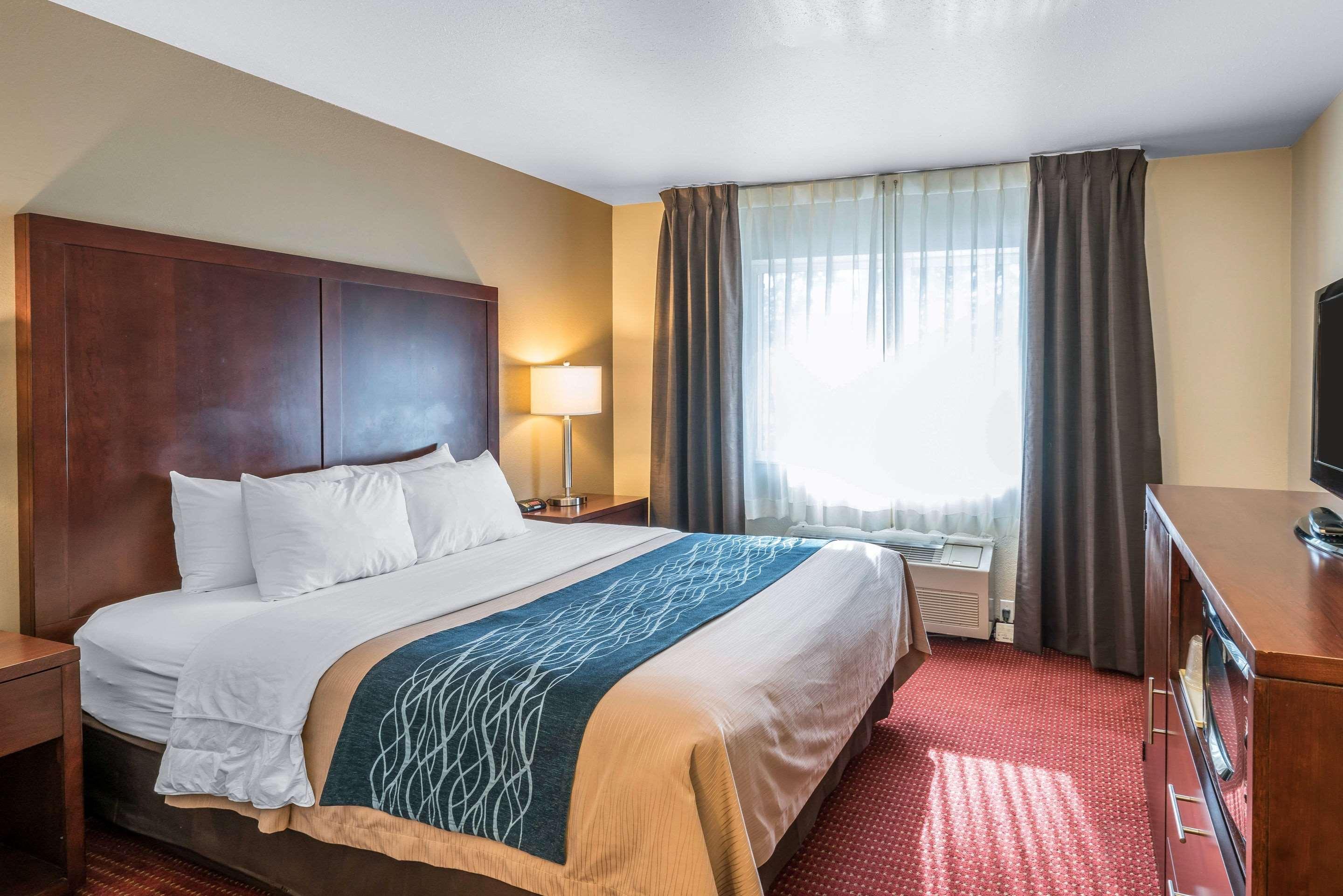 Comfort Inn Lacey - Olympia Extérieur photo