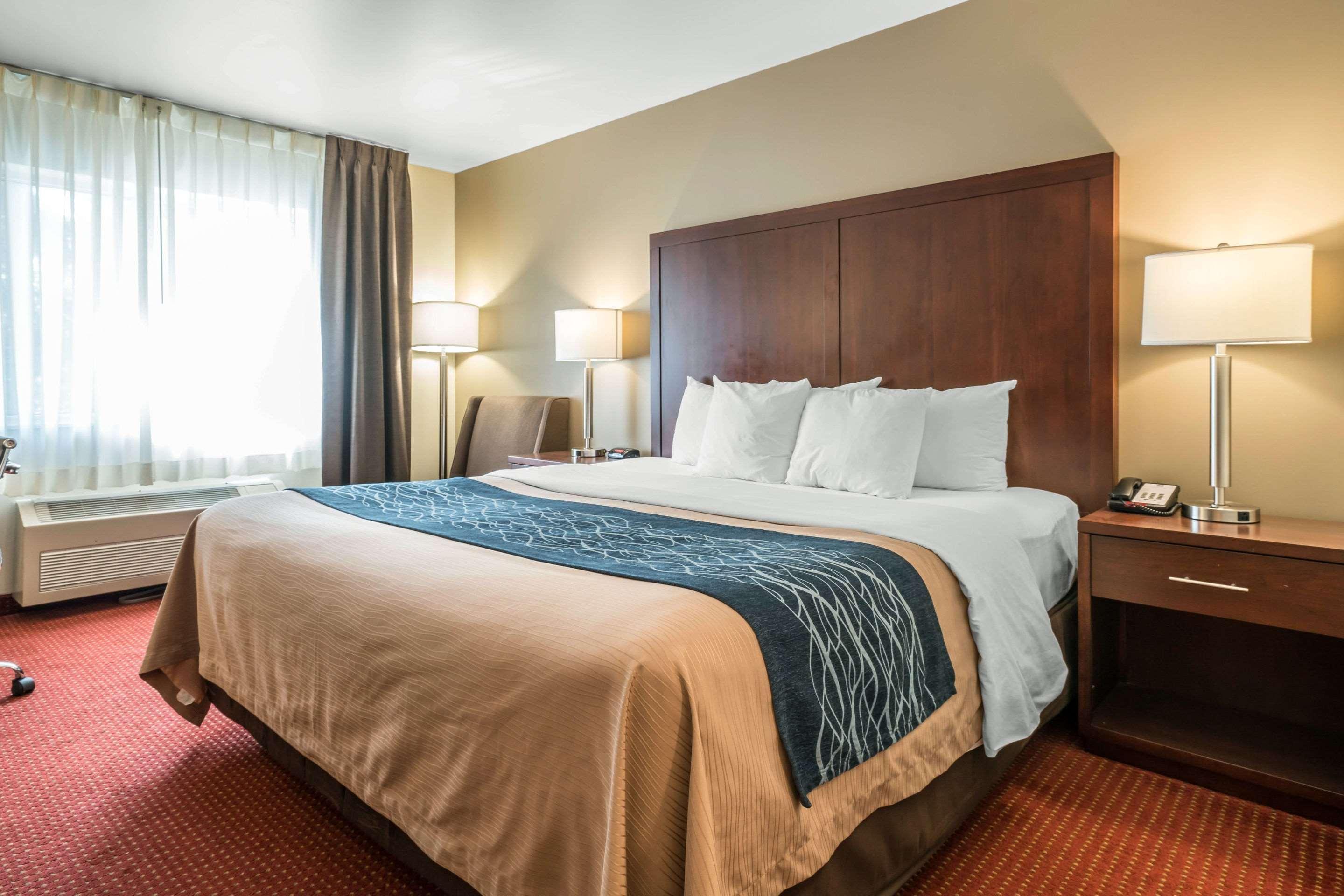 Comfort Inn Lacey - Olympia Extérieur photo