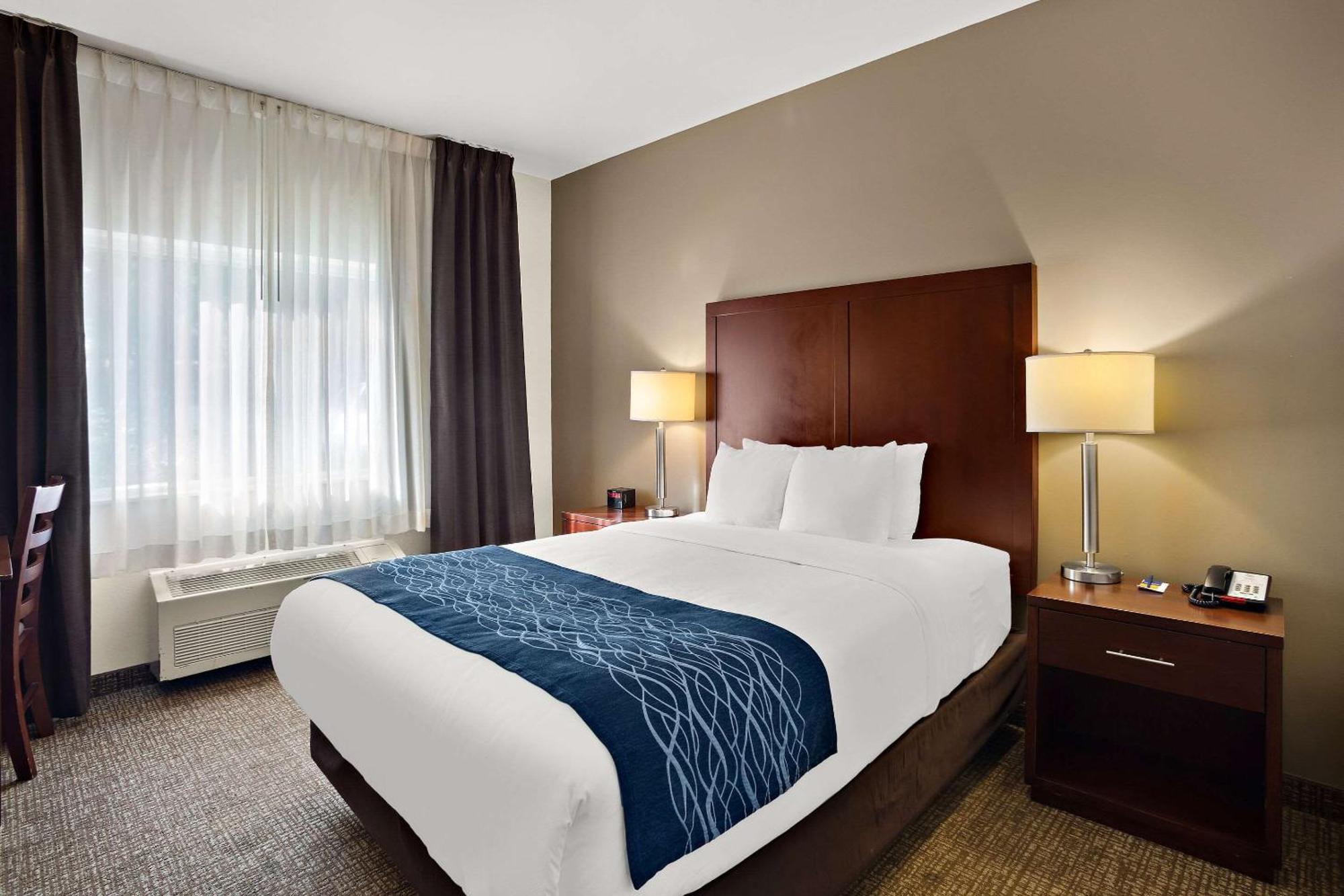 Comfort Inn Lacey - Olympia Extérieur photo