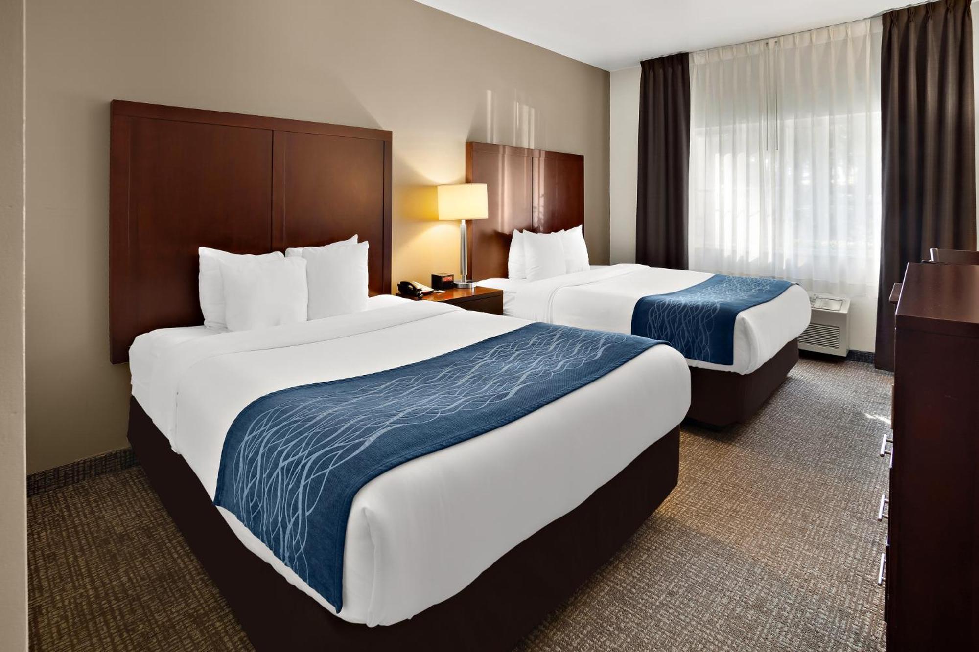 Comfort Inn Lacey - Olympia Extérieur photo