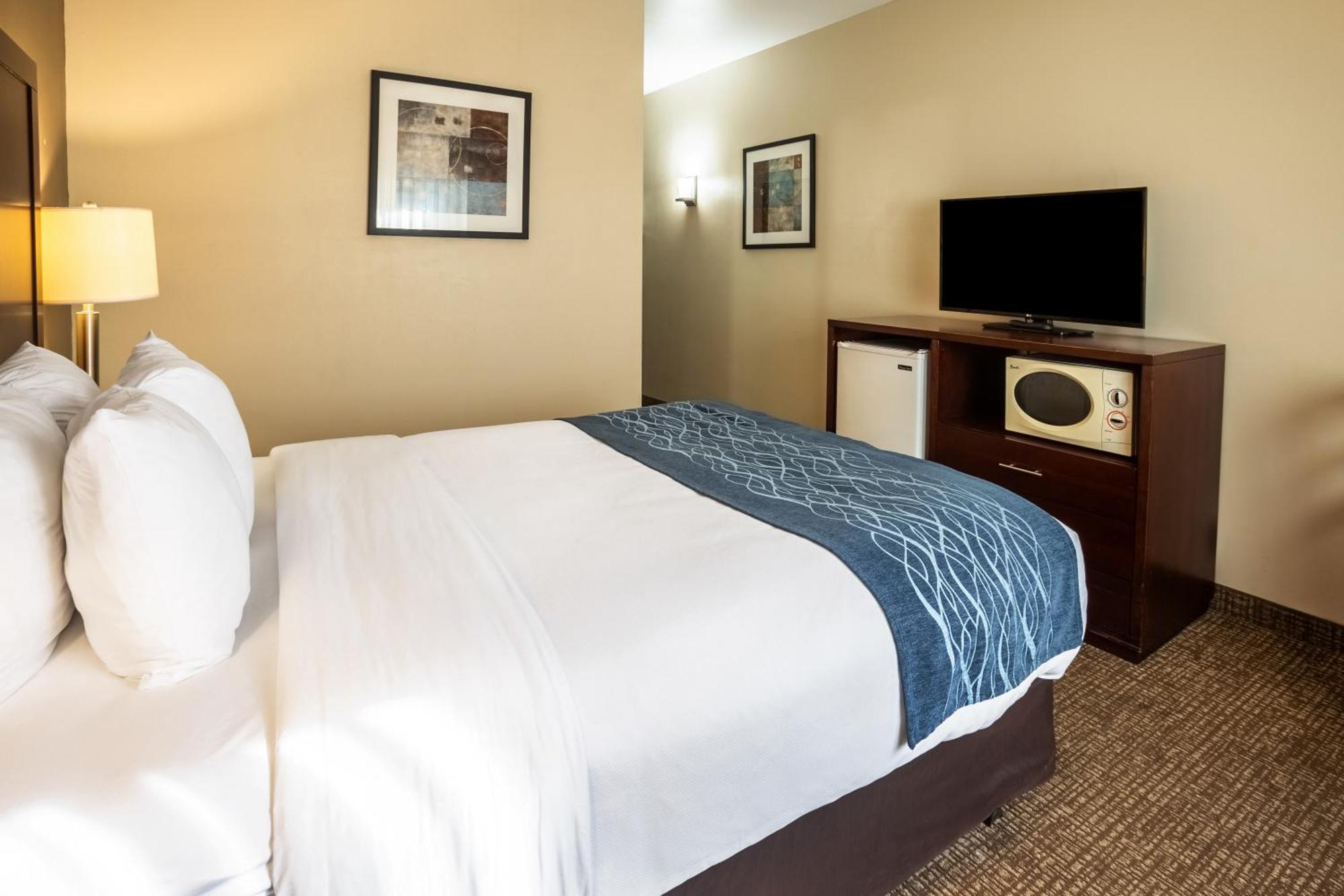 Comfort Inn Lacey - Olympia Extérieur photo