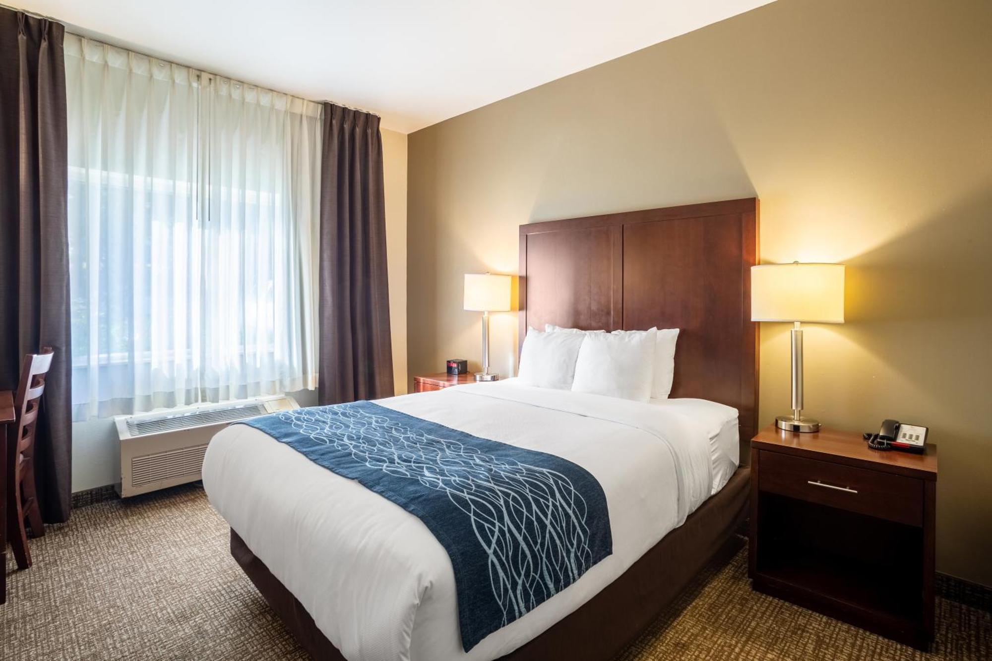 Comfort Inn Lacey - Olympia Extérieur photo