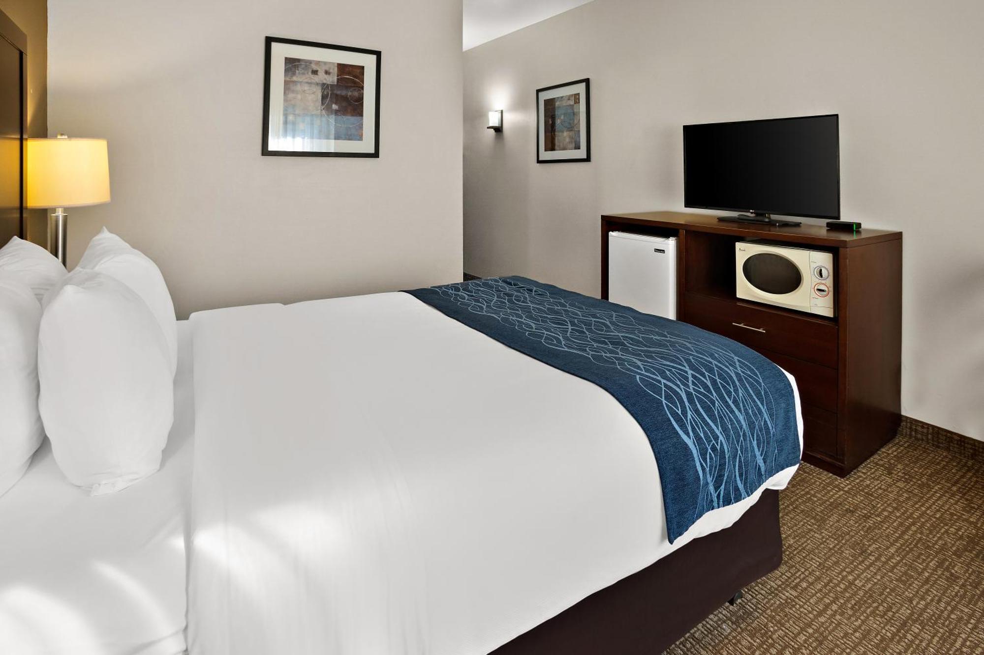 Comfort Inn Lacey - Olympia Extérieur photo
